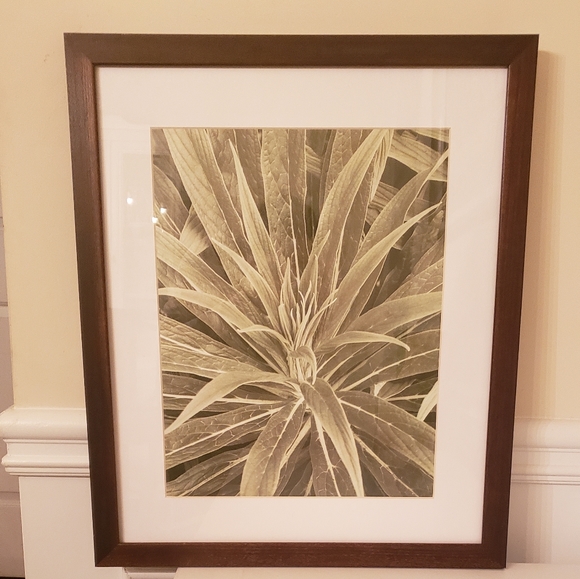 Target Other - Glass Frame Plant artpiece!